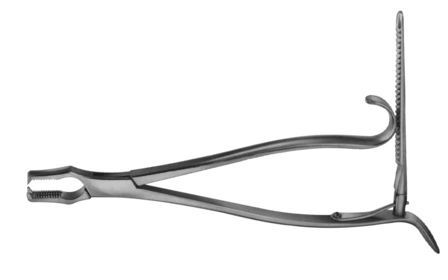 Kern Bone Holding Forcep